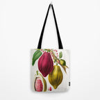 Cacao from "Flore dâAmÃ©rique" by Ãtienne Denisse, 1840s Tote Bag Gallery Image 2