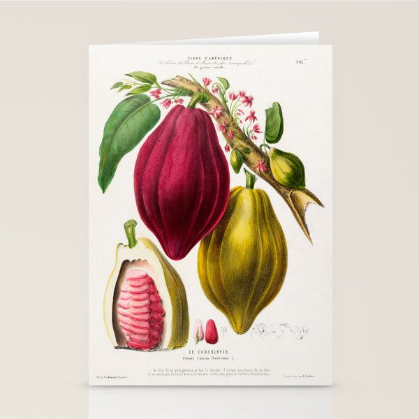 Cacao from "Flore dâAmÃ©rique" by Ãtienne Denisse, 1840s Stationery Card Gallery Image 1
