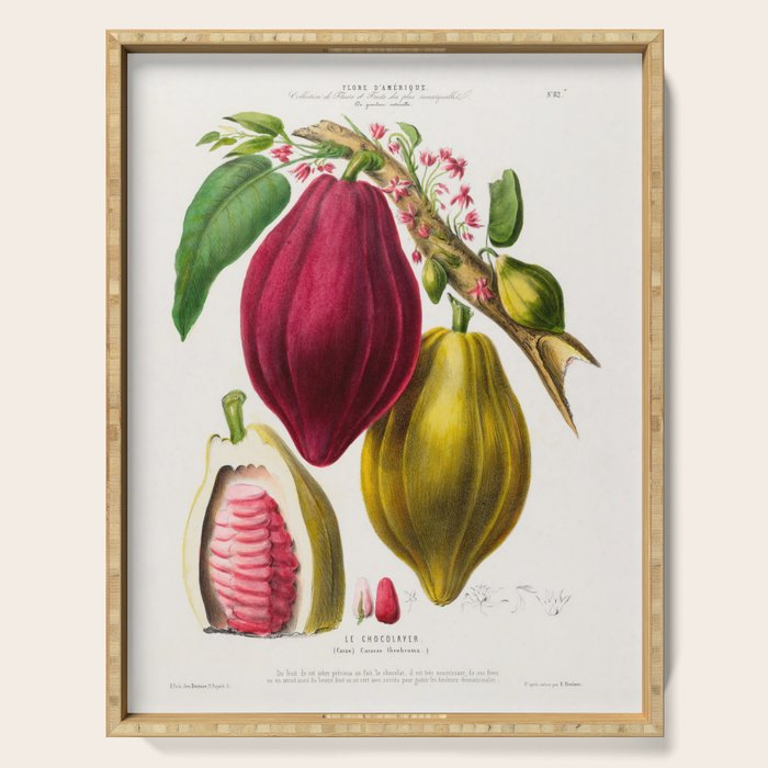 Cacao from "Flore dâAmÃ©rique" by Ãtienne Denisse, 1840s Serving Tray Gallery Image 1