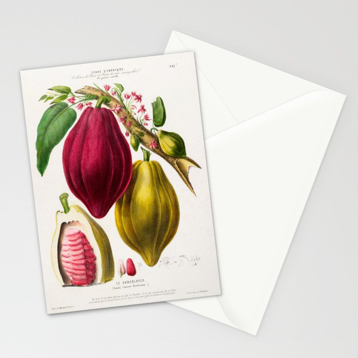 Cacao from "Flore dâAmÃ©rique" by Ãtienne Denisse, 1840s Stationery Card Gallery Image 2
