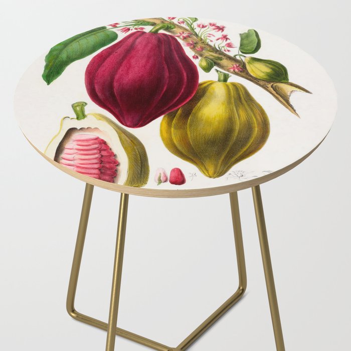 Cacao from "Flore dâAmÃ©rique" by Ãtienne Denisse, 1840s Side Table Gallery Image 2