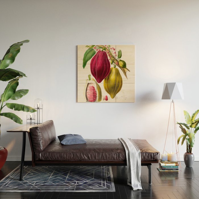 Cacao from "Flore dâAmÃ©rique" by Ãtienne Denisse, 1840s Wood Wall Art Gallery Image 2