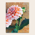Autumn Mood number 1  Botanical autumn dahlia flower Photograph Notebook Gallery Image 4