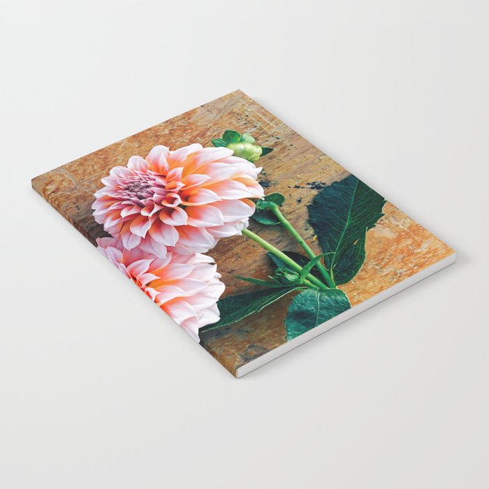Autumn Mood number 1  Botanical autumn dahlia flower Photograph Notebook Gallery Image 2