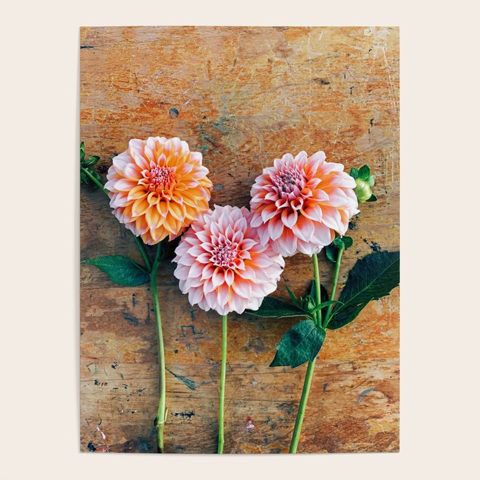 Autumn Mood number 1  Botanical autumn dahlia flower Photograph Poster Gallery Image 4