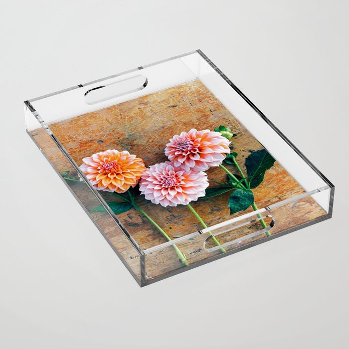 Autumn Mood number 1  Botanical autumn dahlia flower Photograph Acrylic Tray Gallery Image 1