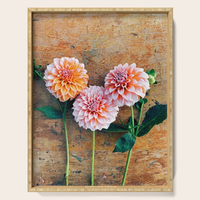 Autumn Mood number 1  Botanical autumn dahlia flower Photograph Serving Tray Gallery Image 1