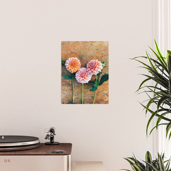 Autumn Mood number 1  Botanical autumn dahlia flower Photograph Poster Gallery Image 2
