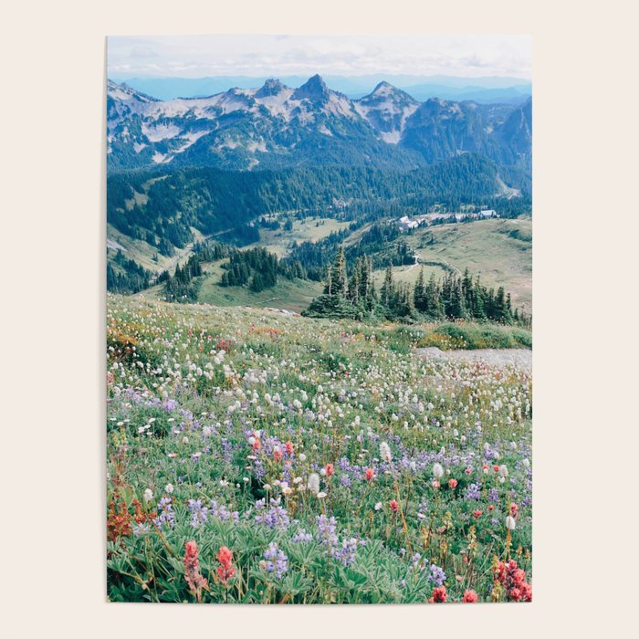 Wildflower Meadow Poster Gallery Image 1