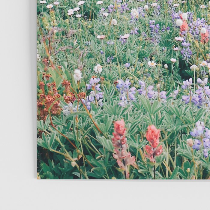 Wildflower Meadow Poster Gallery Image 3