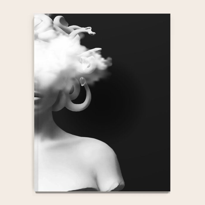 Medusa and the cloud Notebook Gallery Image 4