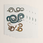 Albertus Seba Coiled Big Blue  Wrapping Paper Gallery Image 3