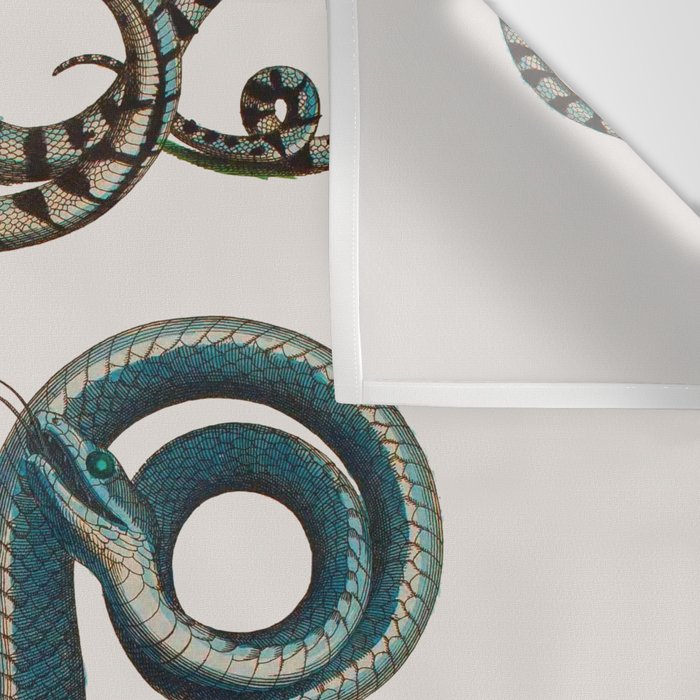 Albertus Seba Coiled Big Blue  Wall Tapestry Gallery Image 3