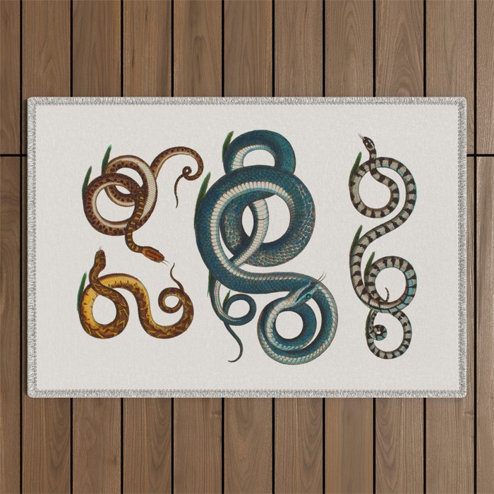 Albertus Seba Coiled Big Blue  Outdoor Rug Gallery Image 1