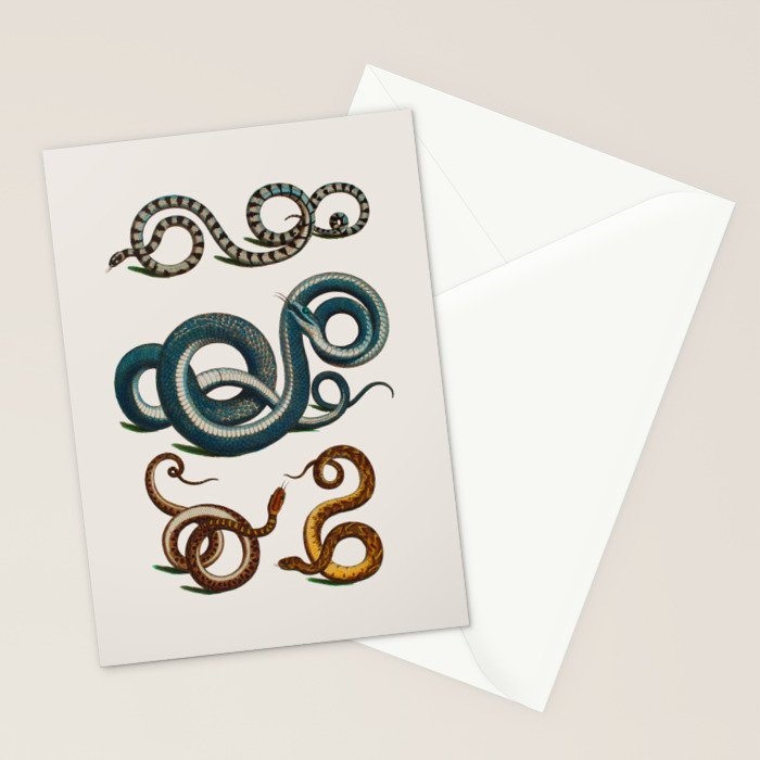 Albertus Seba Coiled Big Blue  Stationery Card Gallery Image 2