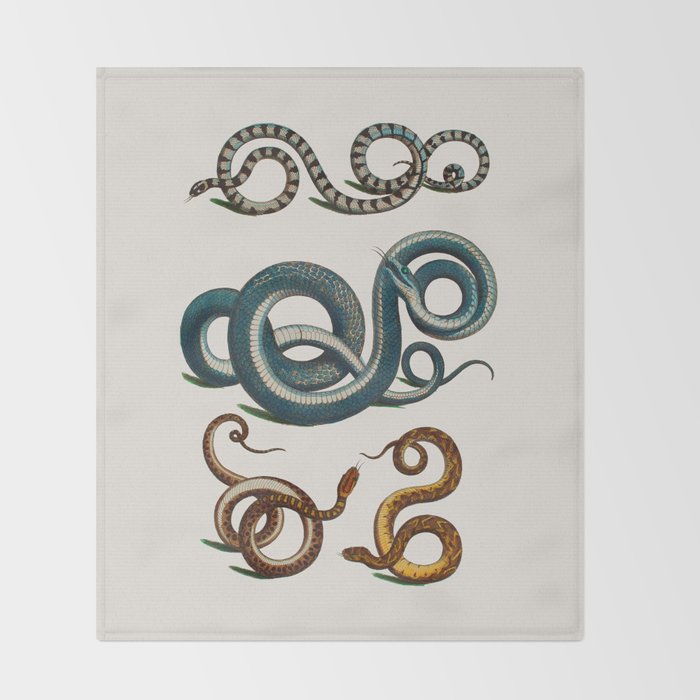 Albertus Seba Coiled Big Blue  Throw Blanket Gallery Image 2