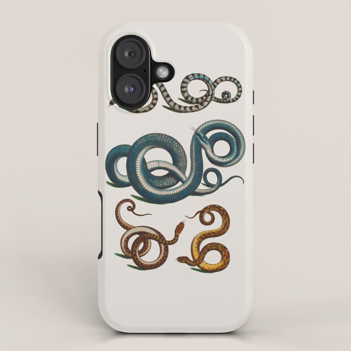 Albertus Seba Coiled Big Blue  iPhone Case Gallery Image 1