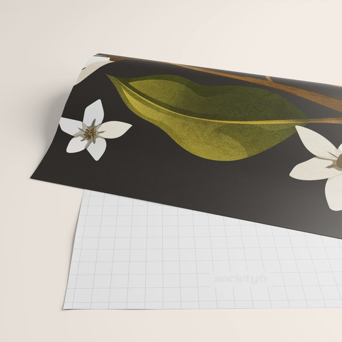 Pears Botanical Art 1 Wrapping Paper Gallery Image 2