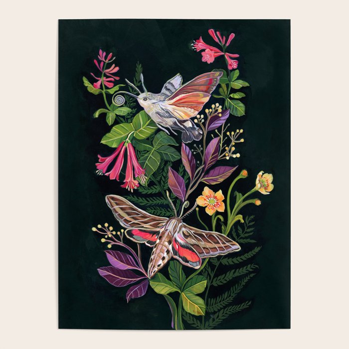 Hummingbird Moth Poster Gallery Image 4