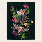 Hummingbird Moth Poster Gallery Image 4