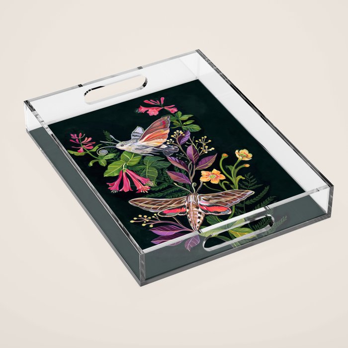 Hummingbird Moth Acrylic Tray Gallery Image 1