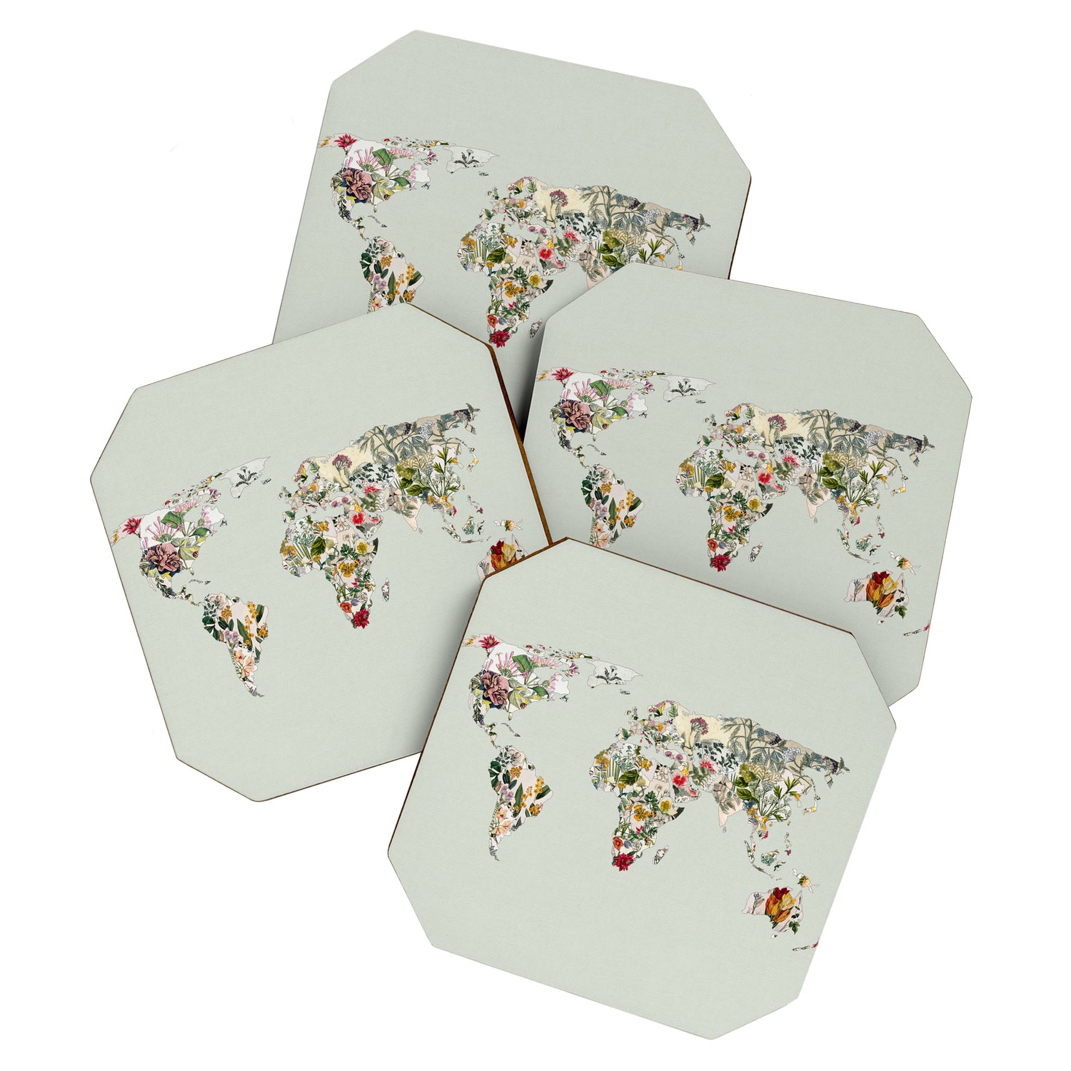 Vintage Botanical World Green Coaster Gallery Image 1