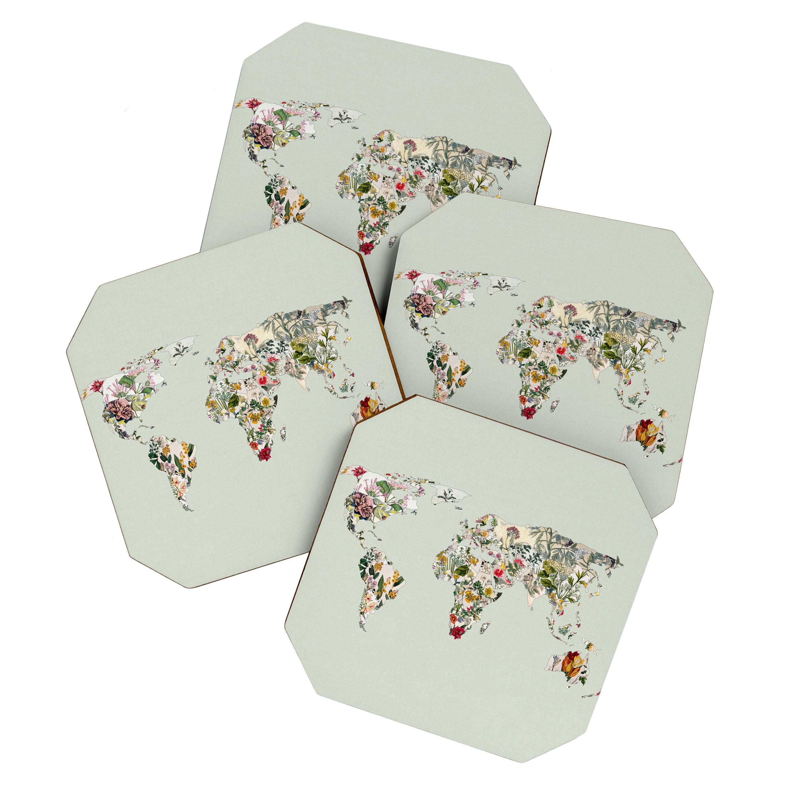 Vintage Botanical World Green Coaster Gallery Image 1
