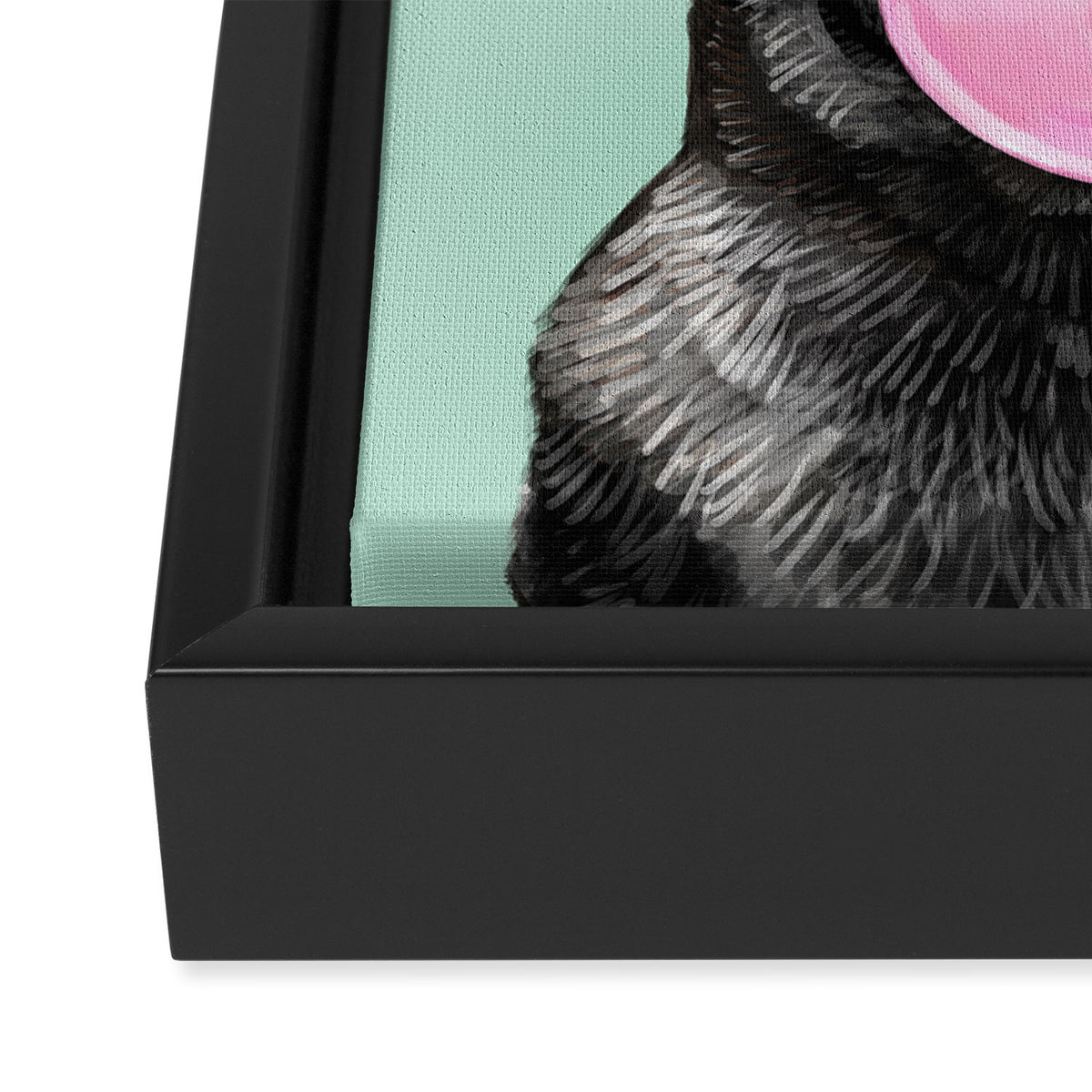 Bubble Gum Black Pug in Green Framed Canvas Print Gallery Image 3