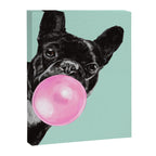Bubble Gum Sneaky French Bulldog in Green Canvas Print Gallery Image 8