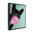 Bubble Gum Sneaky French Bulldog in Green Framed Canvas Print Gallery Image 2