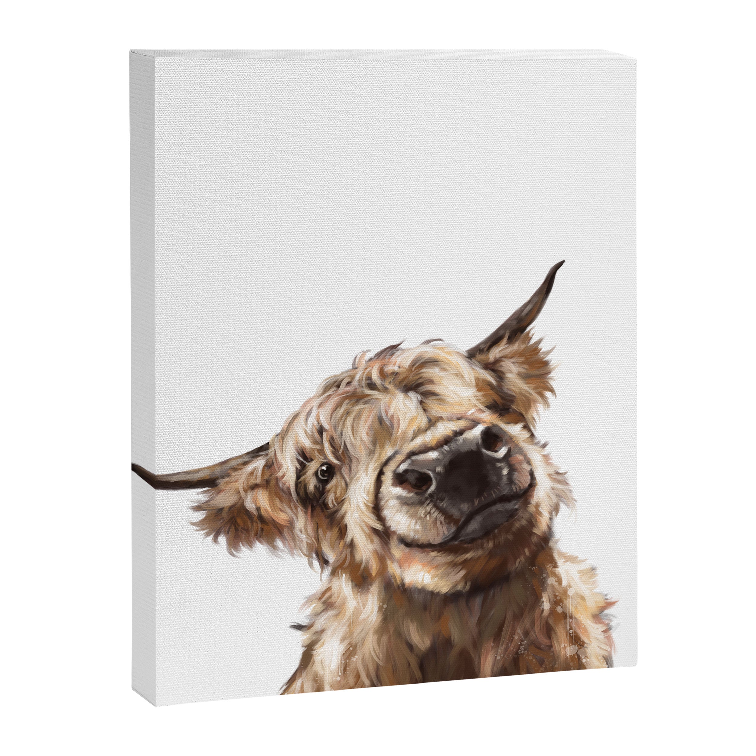 Highland Cow Canvas Print Gallery Image 8