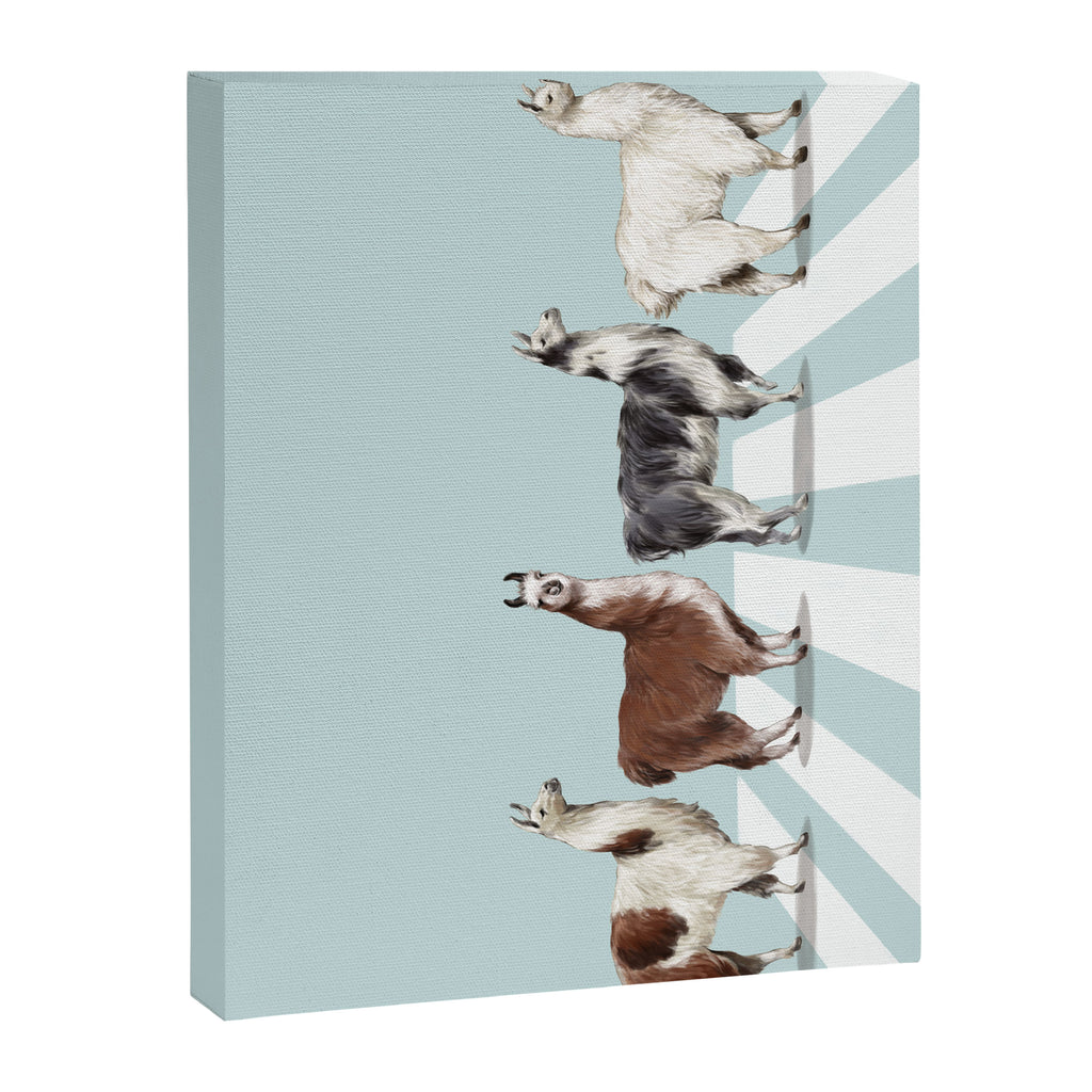 Llama The Abbey Road #1 Canvas Print Gallery Image 8