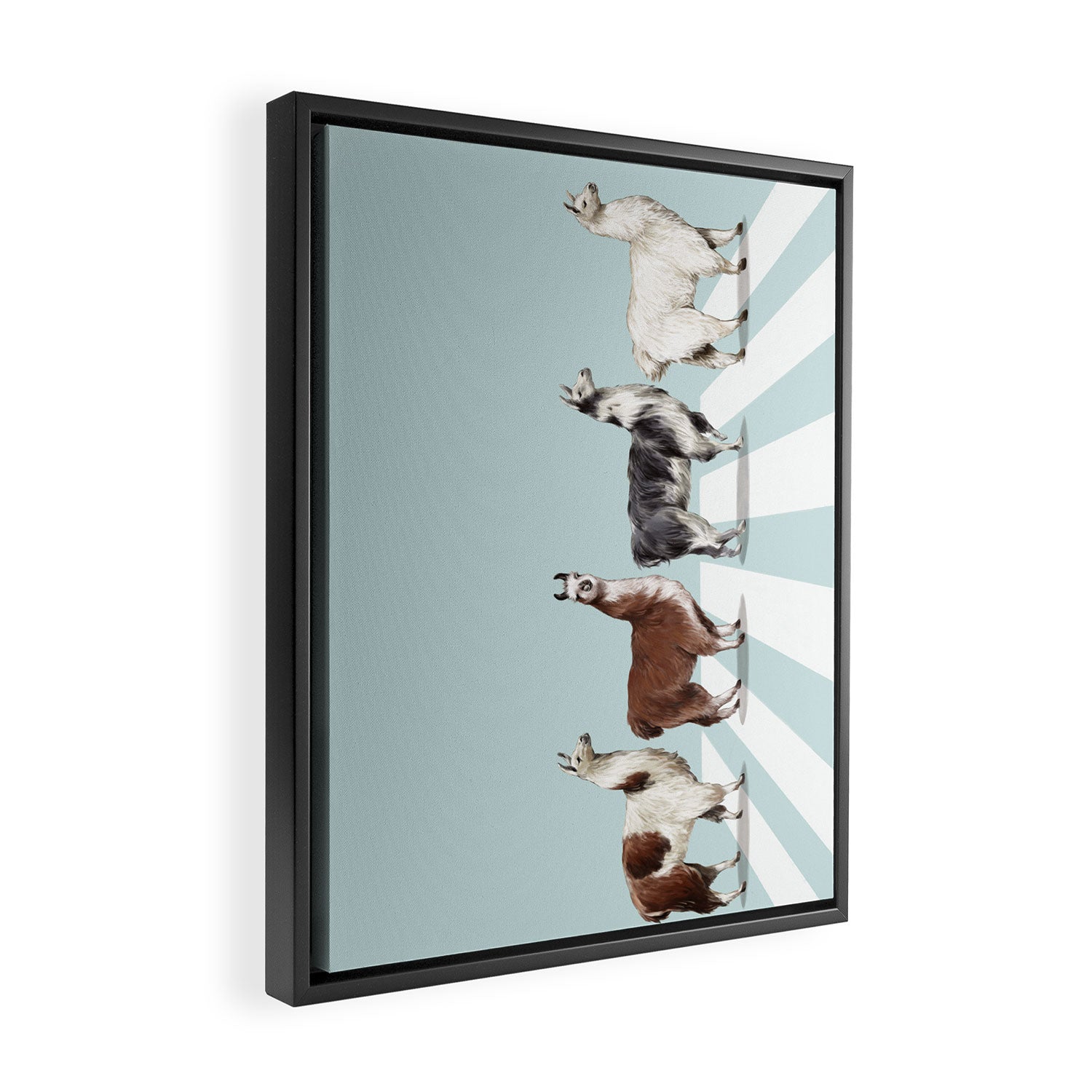 Llama The Abbey Road #1 Framed Canvas Print Gallery Image 2