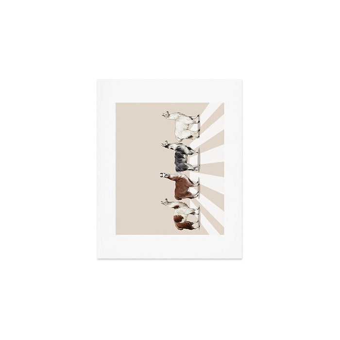 Llama The Abbey Road #2 Art Print Gallery Image 1