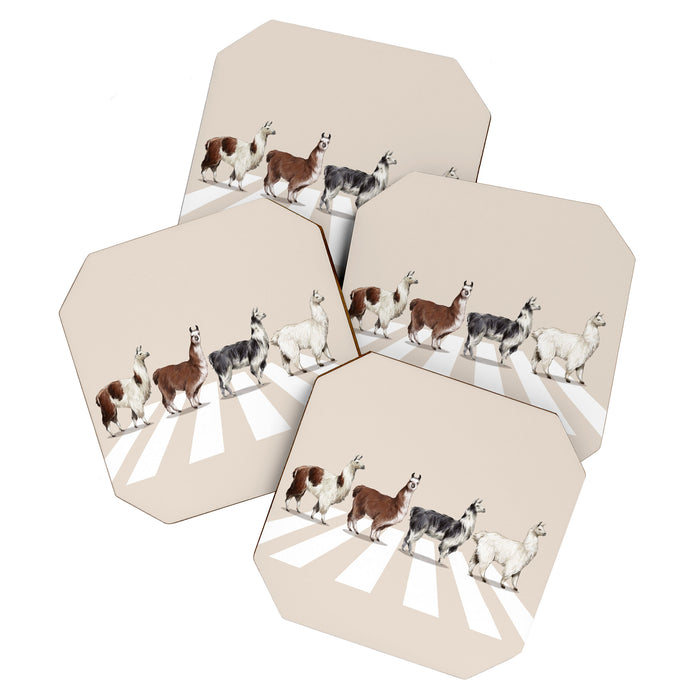 Llama The Abbey Road #2 Coaster Gallery Image 1