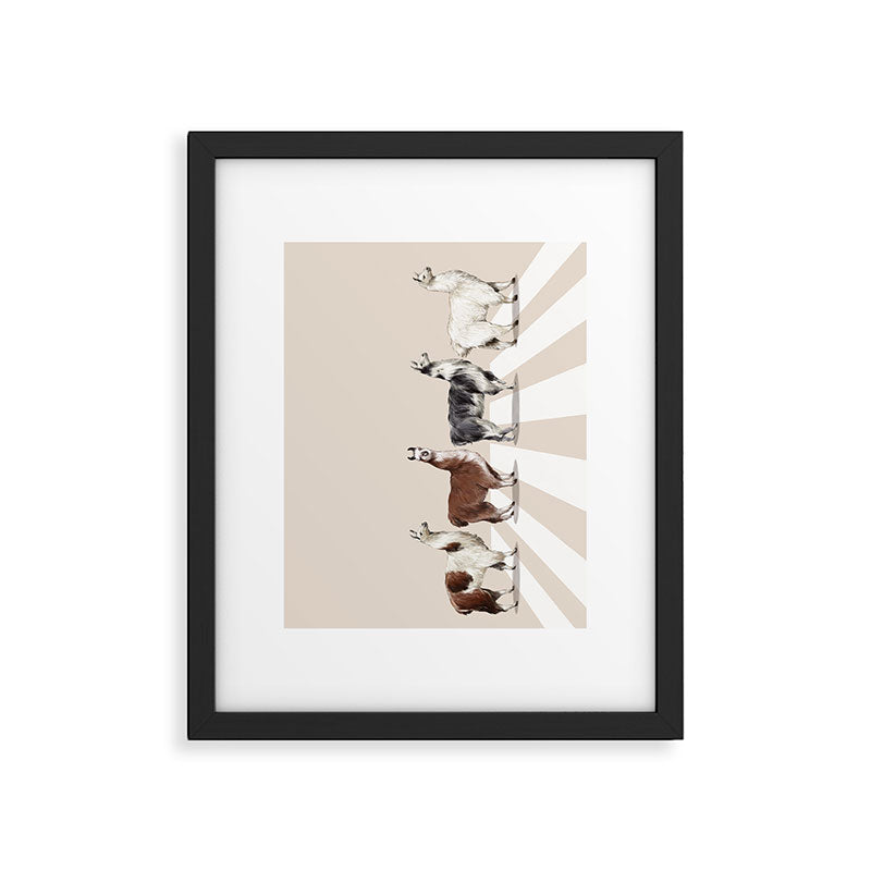 Llama The Abbey Road #2 Framed Art Print Gallery Image 6