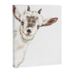 Oh My Sneaky Goat Canvas Print Gallery Image 8