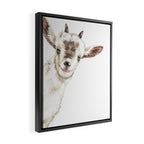 Oh My Sneaky Goat Framed Canvas Print Gallery Image 2