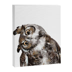 Owl Canvas Print Gallery Image 8