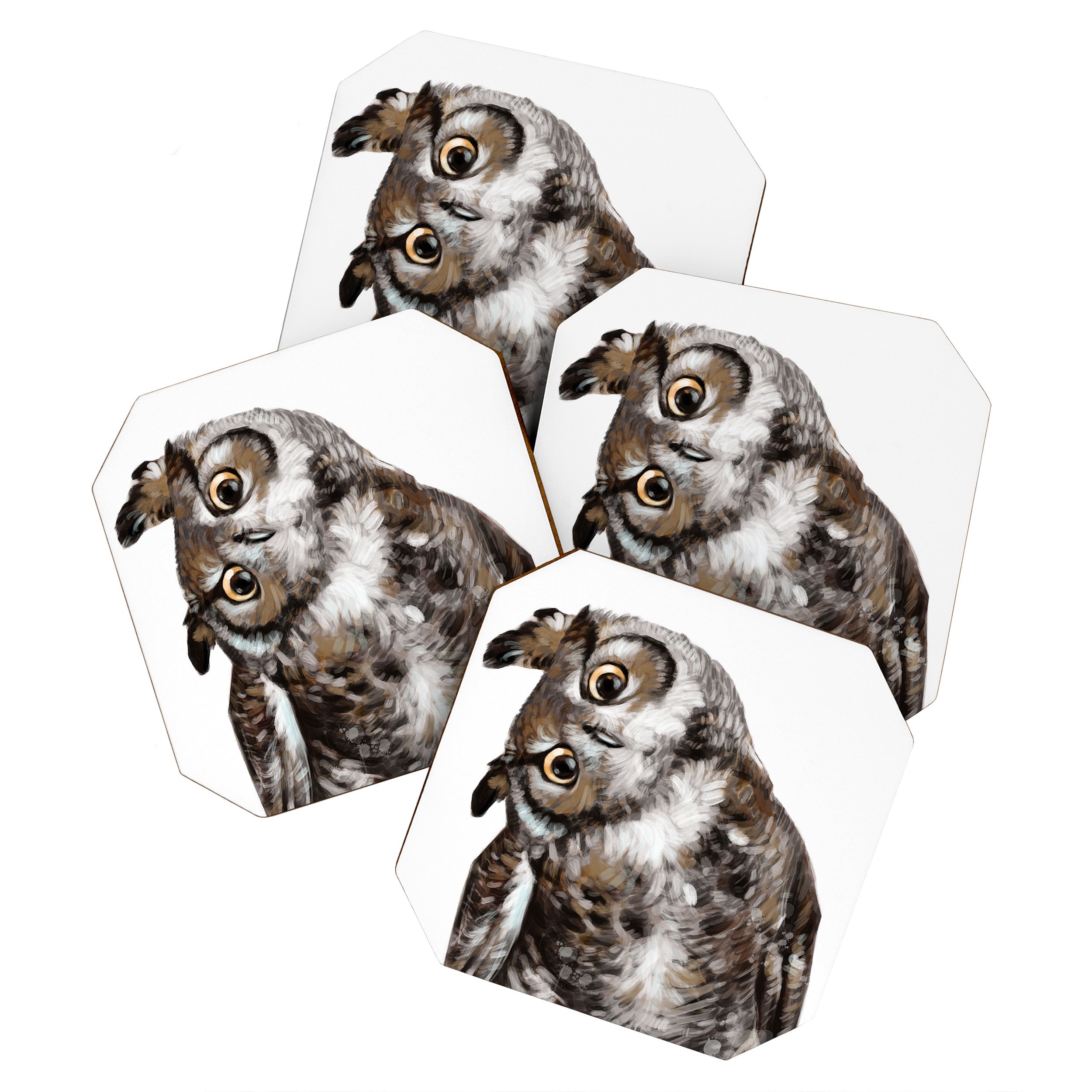 Owl Coaster Gallery Image 1