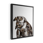 Owl Framed Canvas Print Gallery Image 2