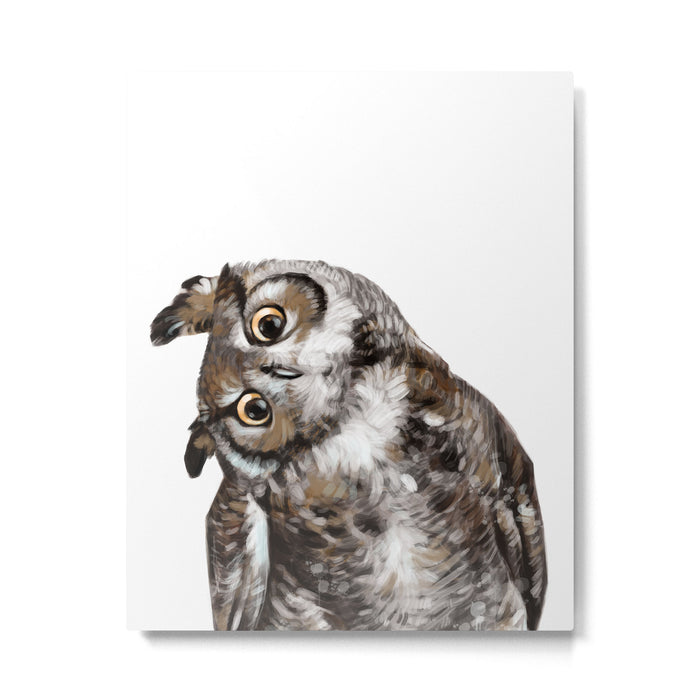 Owl Metal Print Gallery Image 1