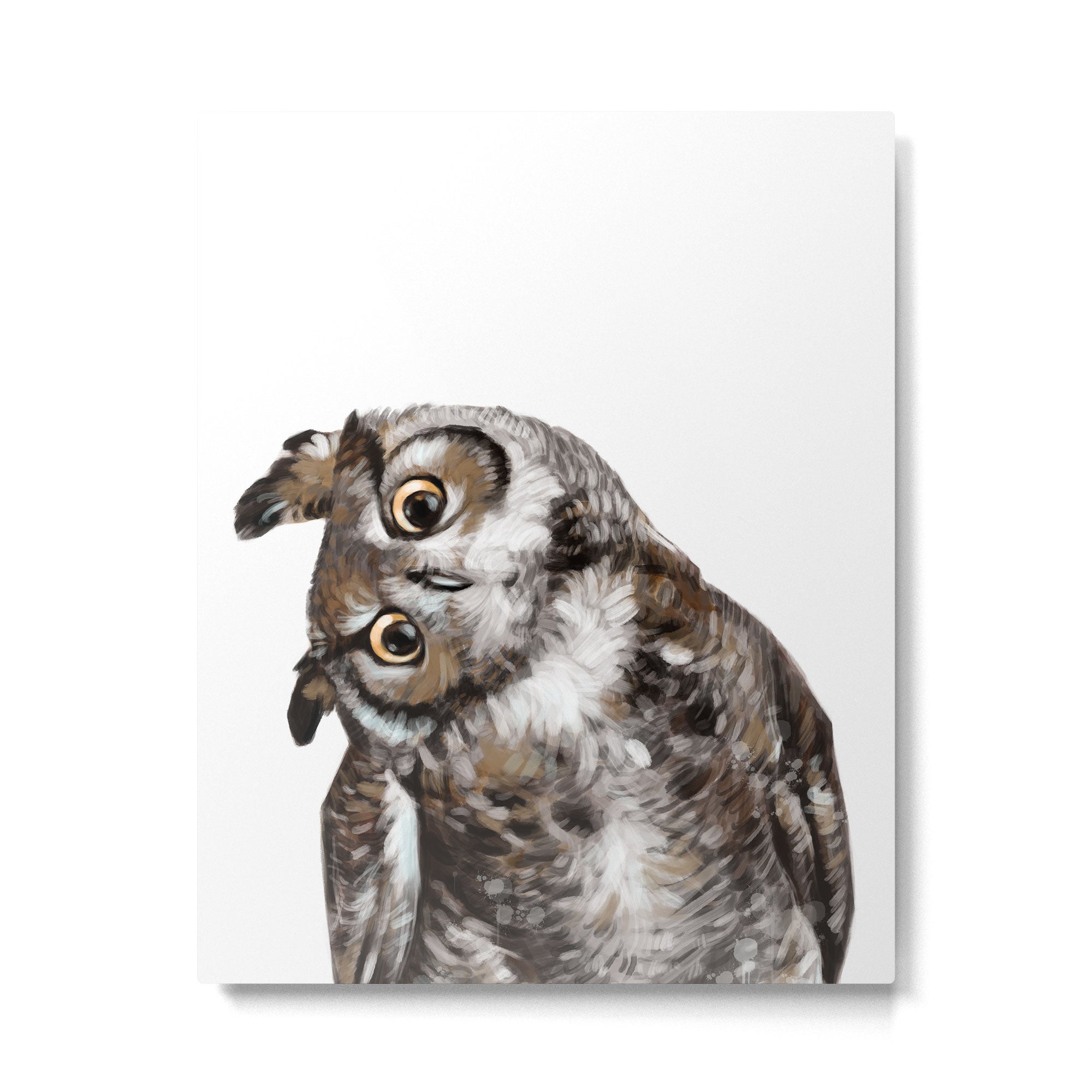 Owl Metal Print Gallery Image 6