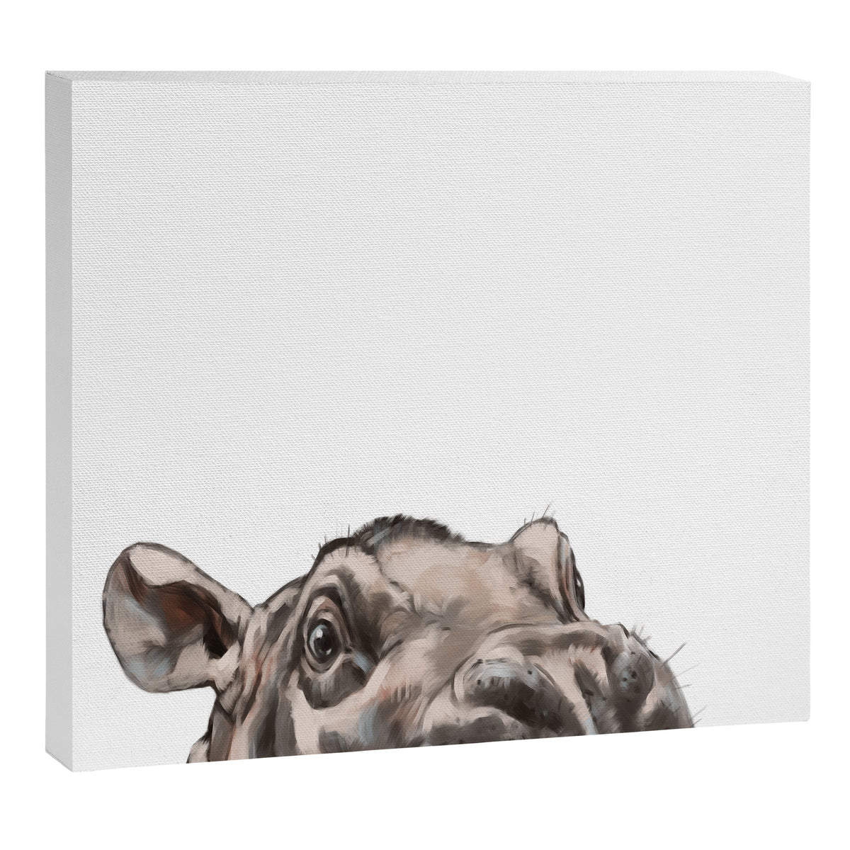 Peeking Baby Hippo Canvas Print Gallery Image 8