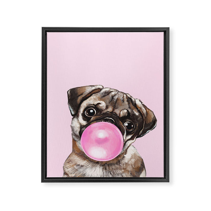 Pug with Pink Bubble Gum Framed Canvas Print Gallery Image 1