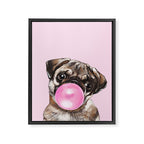 Pug with Pink Bubble Gum Framed Canvas Print Gallery Image 8