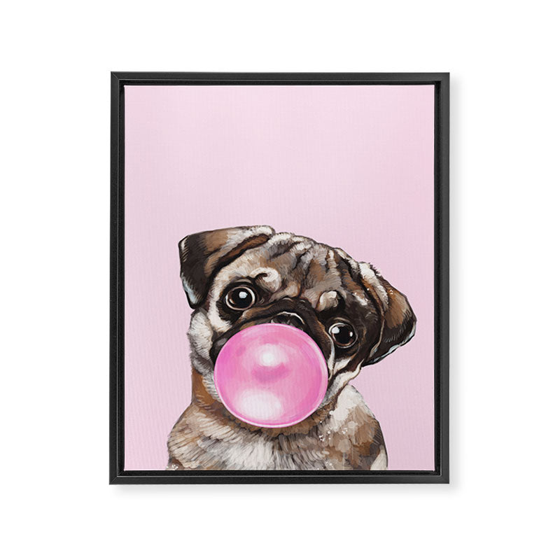 Pug with Pink Bubble Gum Framed Canvas Print Gallery Image 8