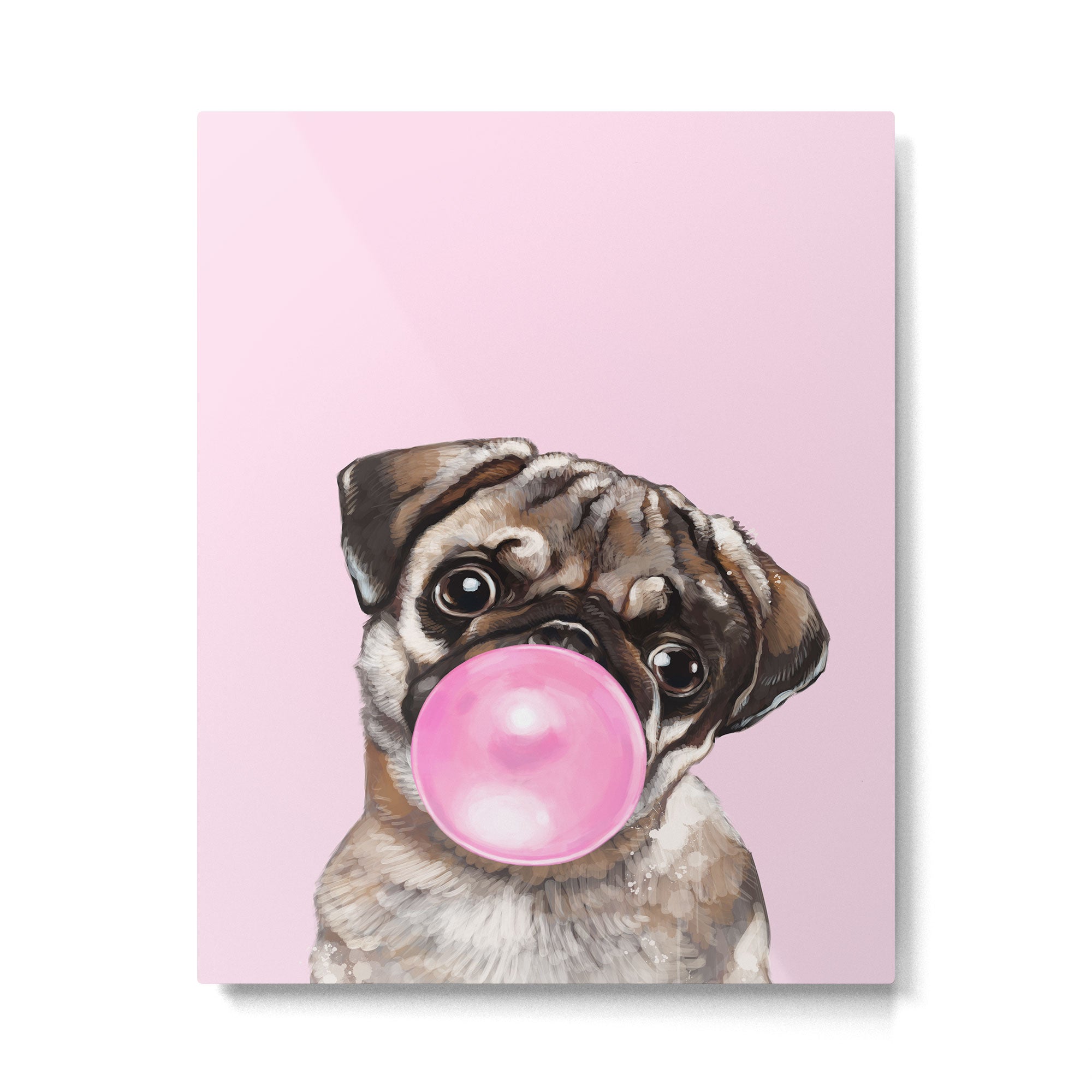 Pug with Pink Bubble Gum Metal Print Gallery Image 6