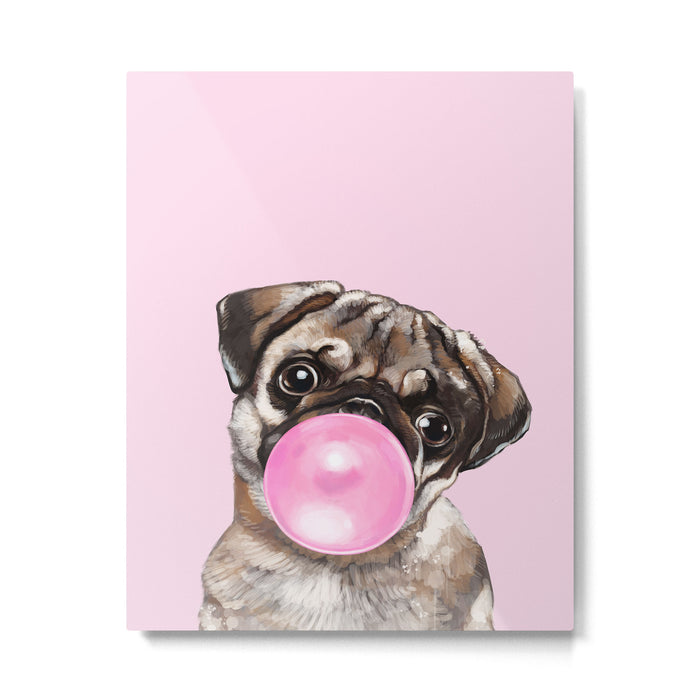 Pug with Pink Bubble Gum Metal Print Gallery Image 1