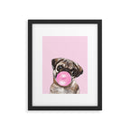 Pug with Pink Bubble Gum Framed Art Print Gallery Image 6